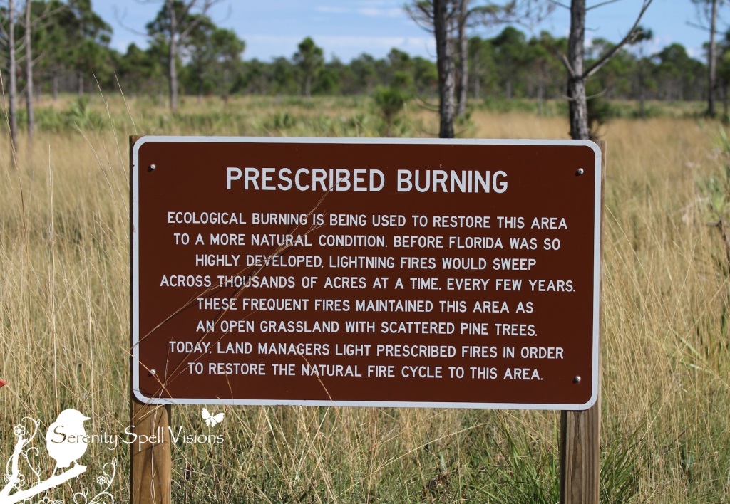 Prescribed Burning Signage, Atlantic Ridge Preserve State Park