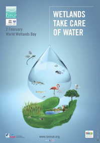 World Wetlands Day Poster, 2013