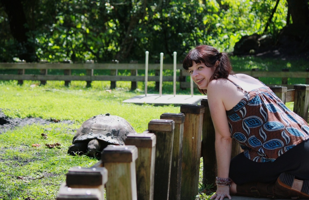 Visiting with an Ancient Tortoise at Flamingo Gardens, Florida