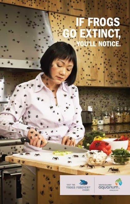 If Frogs Go Extinct....