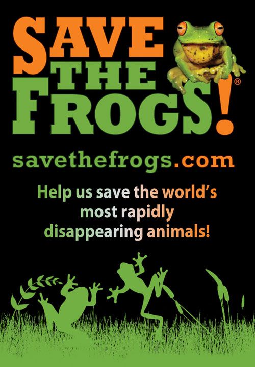 Save the Frogs!
