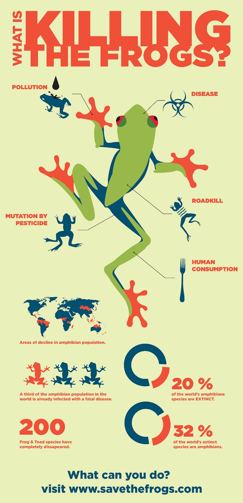 Frog Infographic